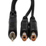 Hosa Technology RCA Male to 2 RCA Female Y-Cable - 6in 1