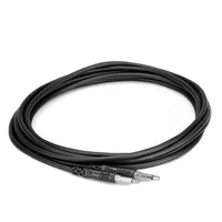 Hosa Technology Mini Male to Mini Male Cable (5FT) 1