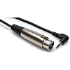 Hosa Technology Mini Stereo Male to 3-pin XLR Female Angled