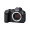 Canon EOS R6 Mark II Mirrorless Camera with 24-105mm f/4-7.1 Lens