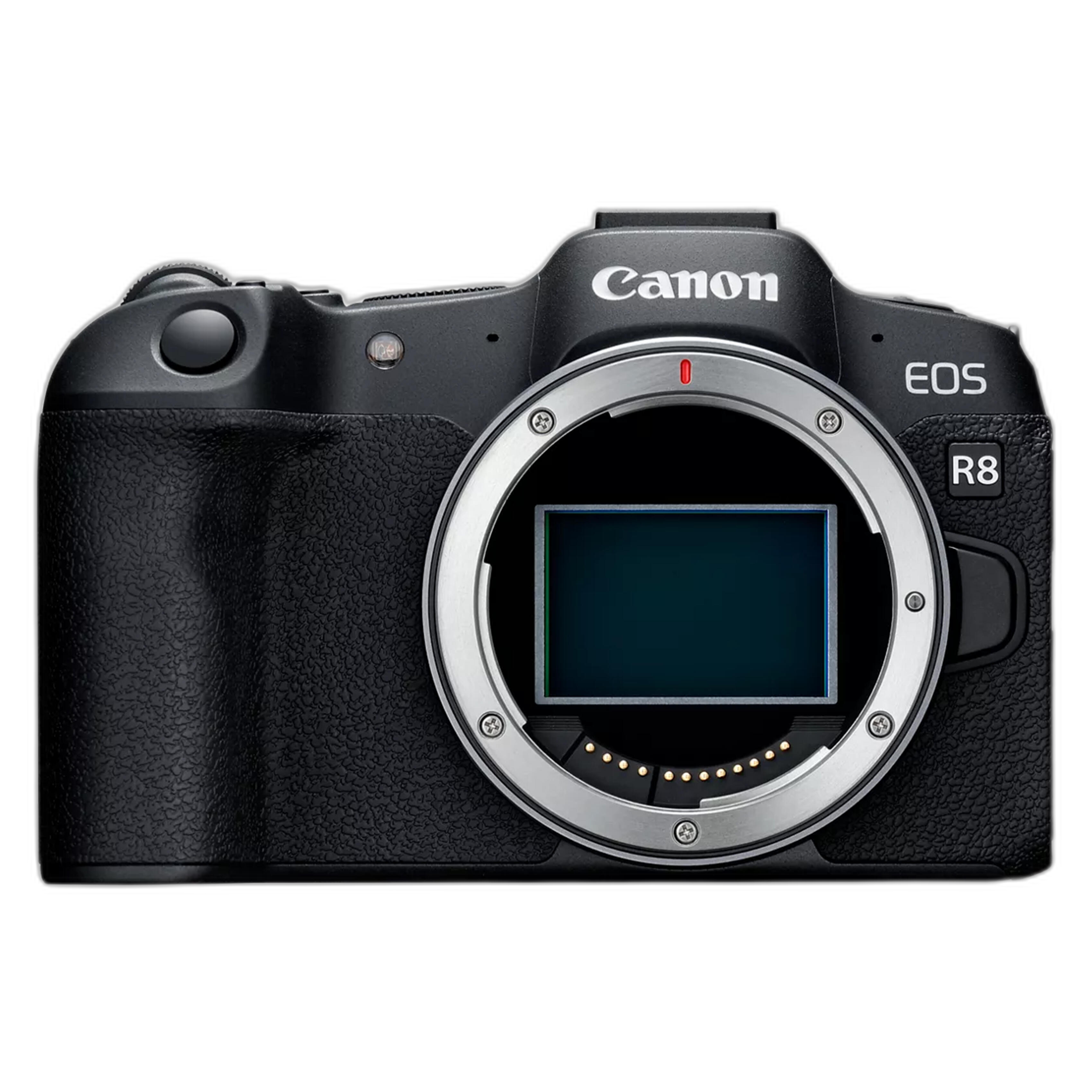 Canon EOS R8 mirrorless camera for travel photography 2024