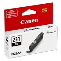 Canon CLI-231 Black Ink Cartridge 0