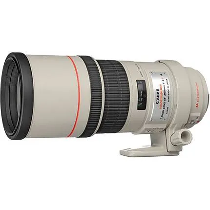 Canon EF 300mm f/4L IS USM Telephoto Lens - White