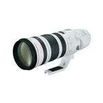 Canon EF 200-400mm f/4L IS USM Extender 1.4X Super Telephoto Lens