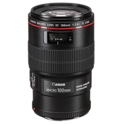 Canon EF 100mm f/2.8L IS USM Macro Lens - Black
