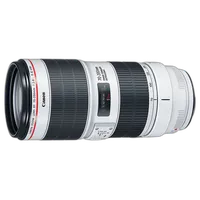 Canon EF 70-200mm f/2.8L IS III USM Lens 1