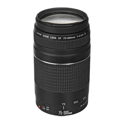 Canon EF 75-300mm f/4-5.6 III Telephoto Zoom Lens - Black