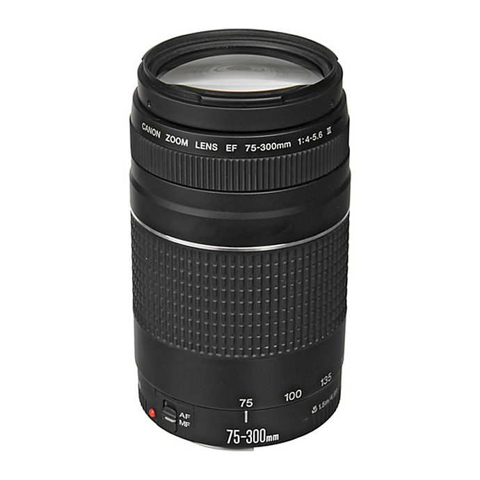 rand accu berouw hebben Canon EF 75-300mm f/4-5.6 III Telephoto Zoom Lens - Black | Digital SLR  Lenses | Canon at Unique Photo