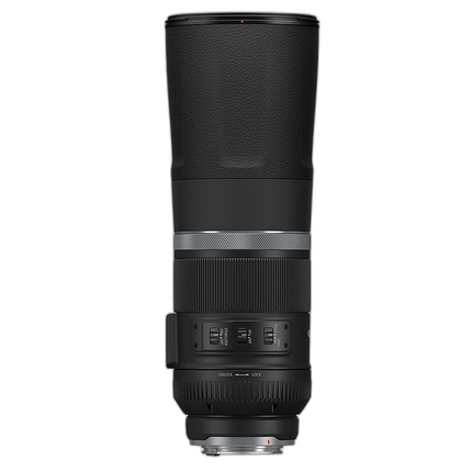 Canon RF 800mm f/11 IS STM Lens