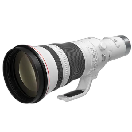 Canon RF 800mm f/5.6 L IS USM Lens