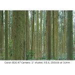 Canon RF-S 18-45mm f/4.5-6.3 IS STM Lens 5