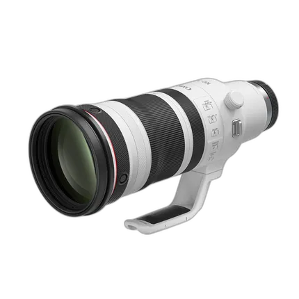 Canon RF 100-300mm f/2.8 L IS USM Lens