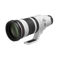 Canon RF 100-300mm f/2.8 L IS USM Lens 0