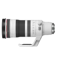 Canon RF 100-300mm f/2.8 L IS USM Lens 4