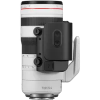 Canon RF70-200mm F2.8 L IS USM Z Lens - White 4