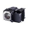 Canon Replacement Lamp RS-LP06 for WUX4000  and  WUX4000 D DICOM
