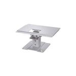 Canon Ceiling Mount RS-CL13