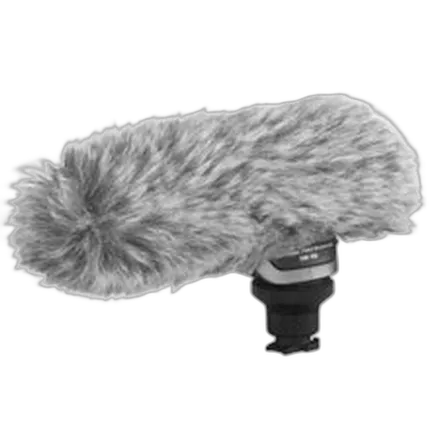 Canon DM-100 Directional Stereo Microphone