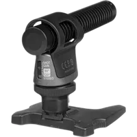 Canon DM-100 Directional Stereo Microphone 2