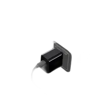 DJI 30W USB Type-C Charger 2