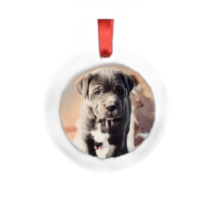 Ceramic Disc Ornament