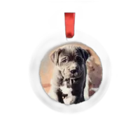 Ceramic Disc Ornament 0