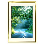 12x18 Custom Gold Metal Frame, Off-White Mat with Glass