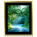16x20 Custom Gold Metal Frame, Black Mat with Glass