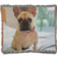 80x60 Woven Photo Throw Blanket 0