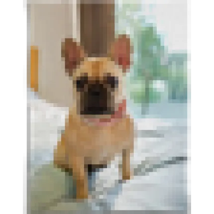 60x80 Soft Fleece Blanket