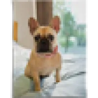 60x80 Soft Fleece Blanket 0