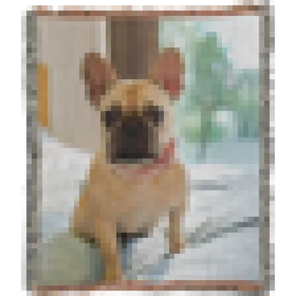 60 x 50 Sherpa Fleece Blanket