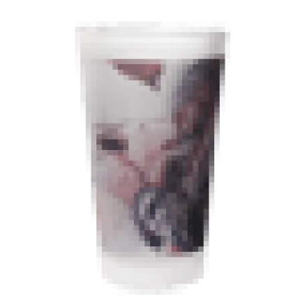 16 oz Frosted Pint Glass