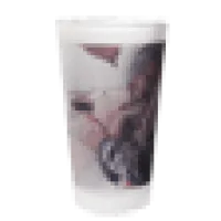 16 oz Frosted Pint Glass 0