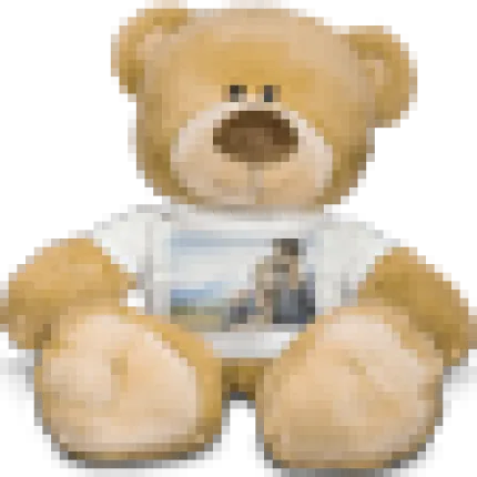 Premium Teddy Bear with T-Shirt