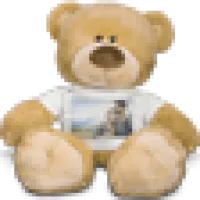 Premium Teddy Bear with T-Shirt 0