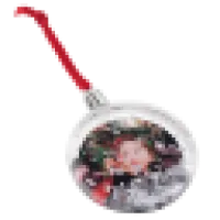 Snow Globe Ornament 0