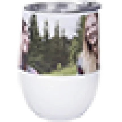 12 oz. Insulated Wine Tumbler