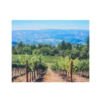 8x10 Direct UV .220 Acrylic Print (HD) 1