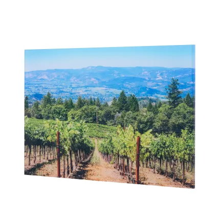 24x36 Acrylic Print