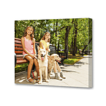 14x11 Gallery Wrapped Canvas