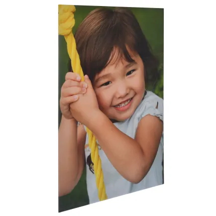 20x30 Metal Print