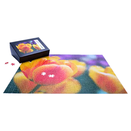 Premium Puzzle 20x16