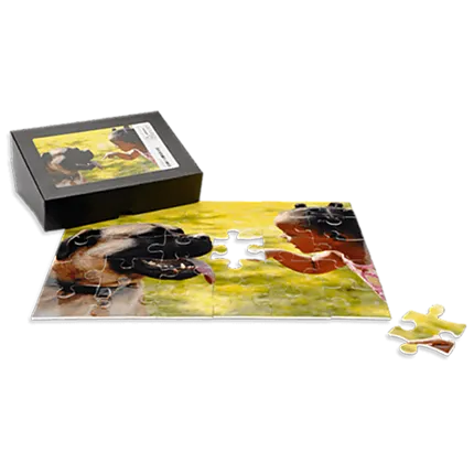 Premium Children Puzzle 20x16