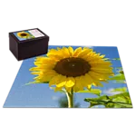 Premium Puzzle 20x20 0