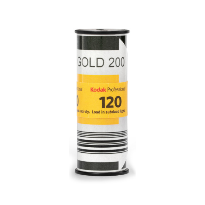 Best Kodak Film for Beginners: Gold, ColorPlus, Portra, and Tri-X Compared