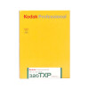 Kodak Professional Tri-X 320 Black  and  White Negative Film (8x10in, 10 Sheets)