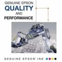 Epson UltraChrome PRO12 Light Gray Ink Cartridge (350mL) 2