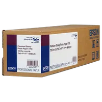 Epson 16.5x100 Premium Glossy Paper - Roll 0