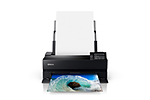 Epson Surecolor P900 17-Inch Standard Edition Printer